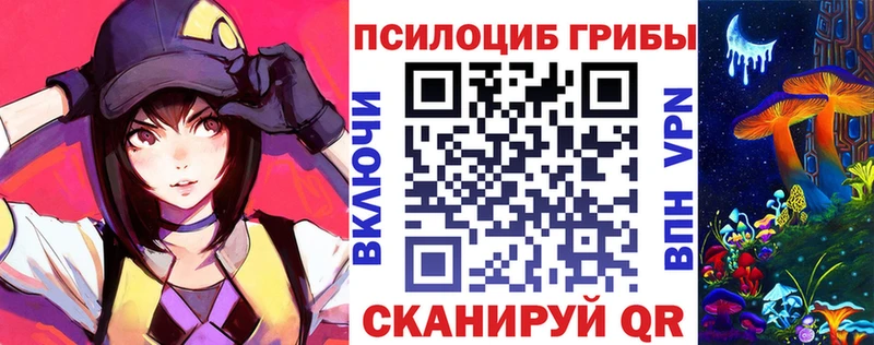 Галлюциногенные грибы Psilocybe  Мариинск 